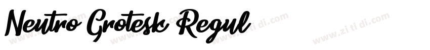 Neutro Grotesk Regul字体转换